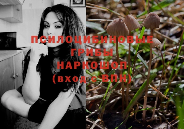 тгк Костерёво
