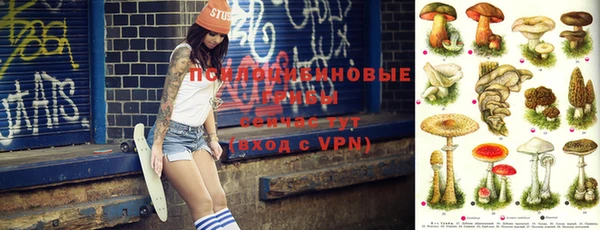 тгк Корсаков