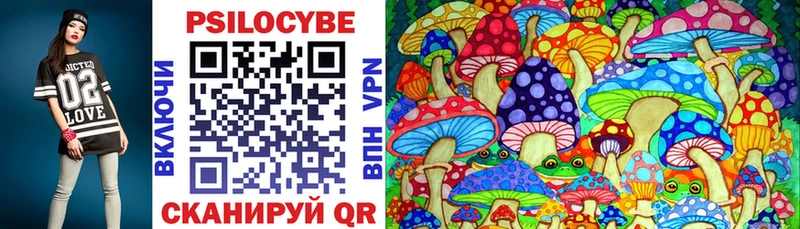 закладки  Мурино  Псилоцибиновые грибы Magic Shrooms 