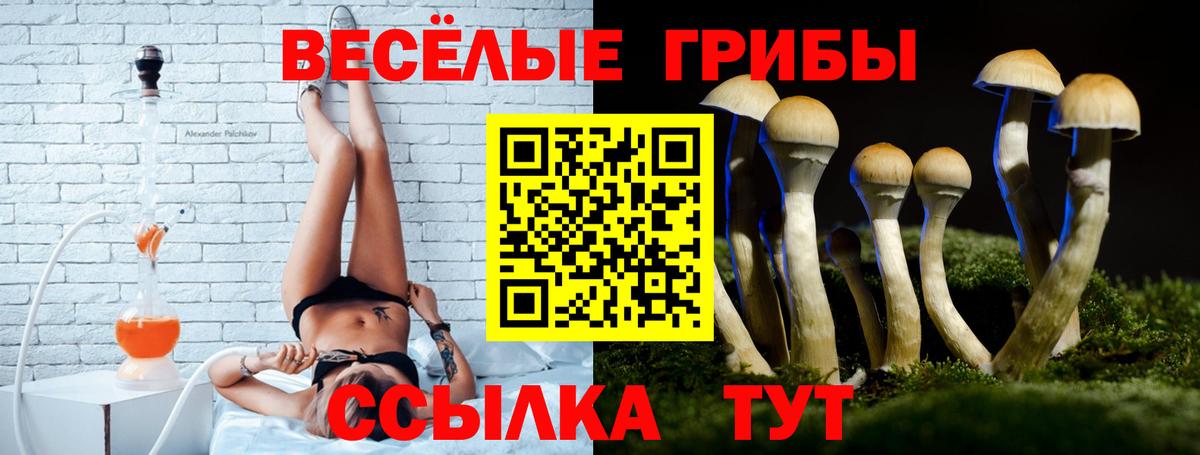 Мурино  Псилоцибиновые грибы Psilocybe  Вход с VPN 